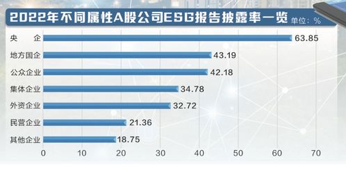 上市公司ESG實踐 立足本土創新，以海口軟件開發推動綠色發展